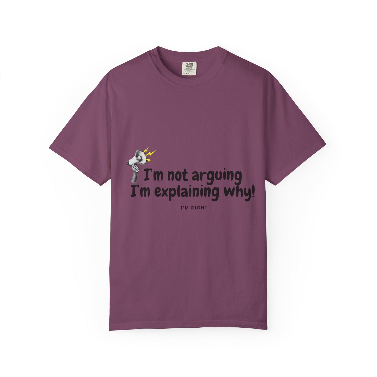 I'm Not Arguing I'm Explaining Why T-Shirt — Funny Statement Graphic Tee for Debaters & Thinkers